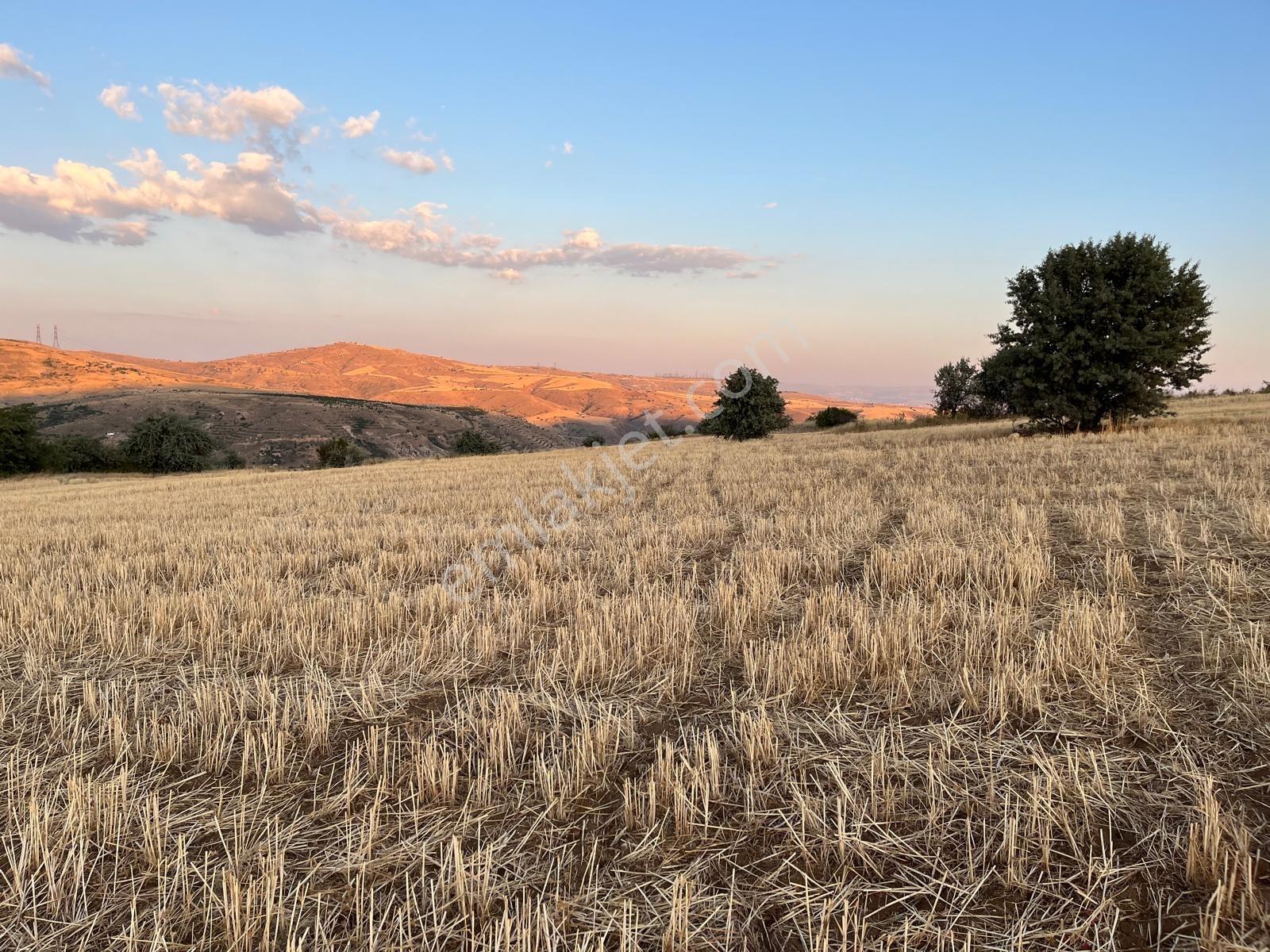 Yenimahalle Memlik Ankara Manzrl. Acil Satılık 250m2 Kop.hissesi — fotoğraf 14