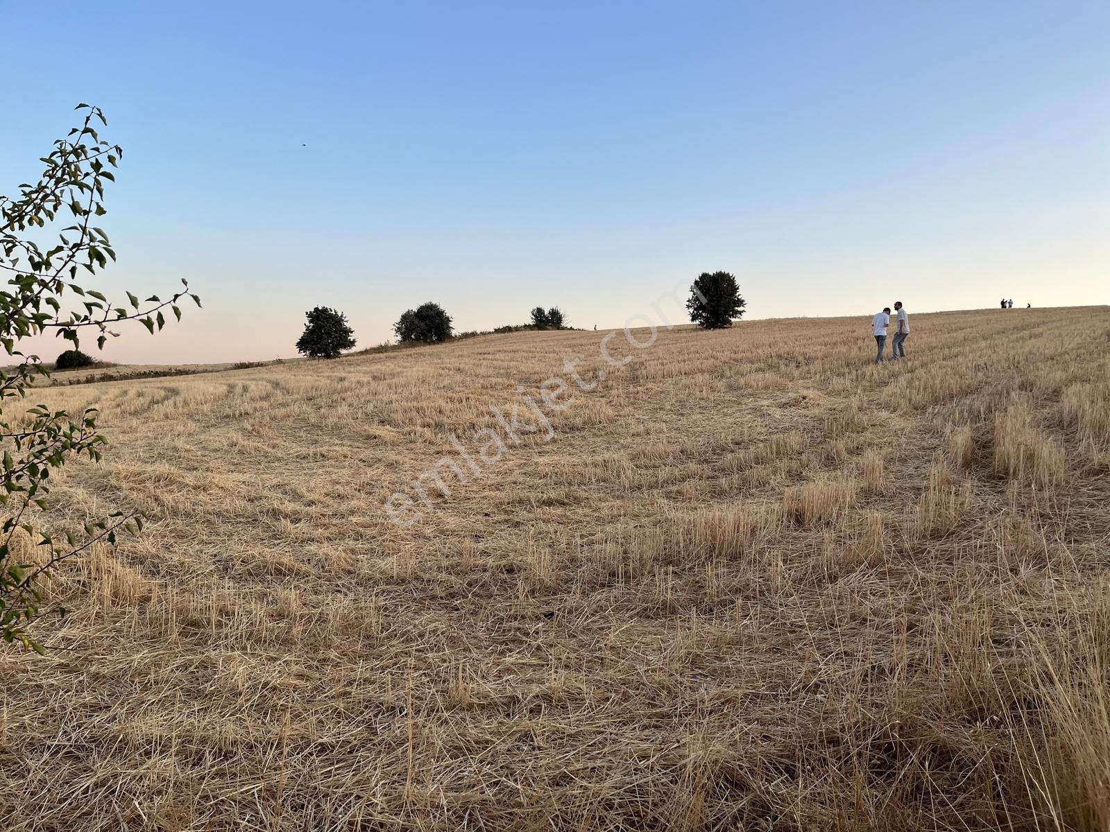 Yenimahalle Memlik Ankara Manzrl. Acil Satılık 250m2 Kop.hissesi — fotoğraf 16