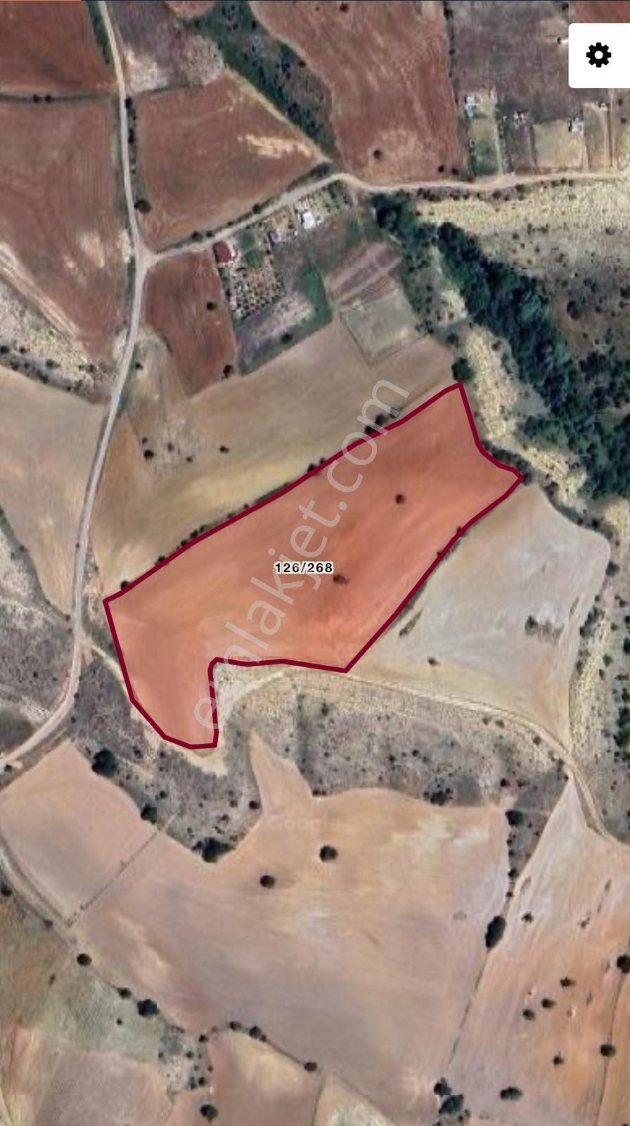 Yenimahalle Memlik Ankara Manzrl. Acil Satılık 250m2 Kop.hissesi — fotoğraf 19