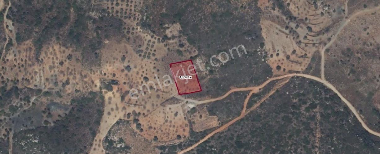 Datça Yazı Mahallesi Satılık Tarla