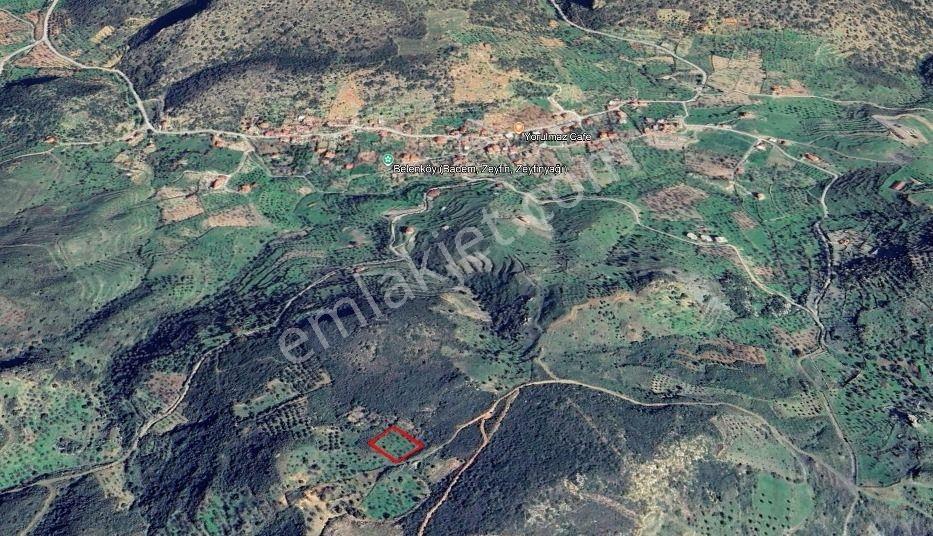 Datça Yazı Mahallesi Satılık Tarla — fotoğraf 4