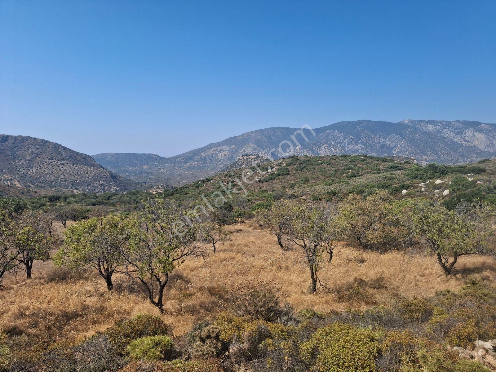 Datça Yazı Mahallesi Satılık Tarla — fotoğraf 5