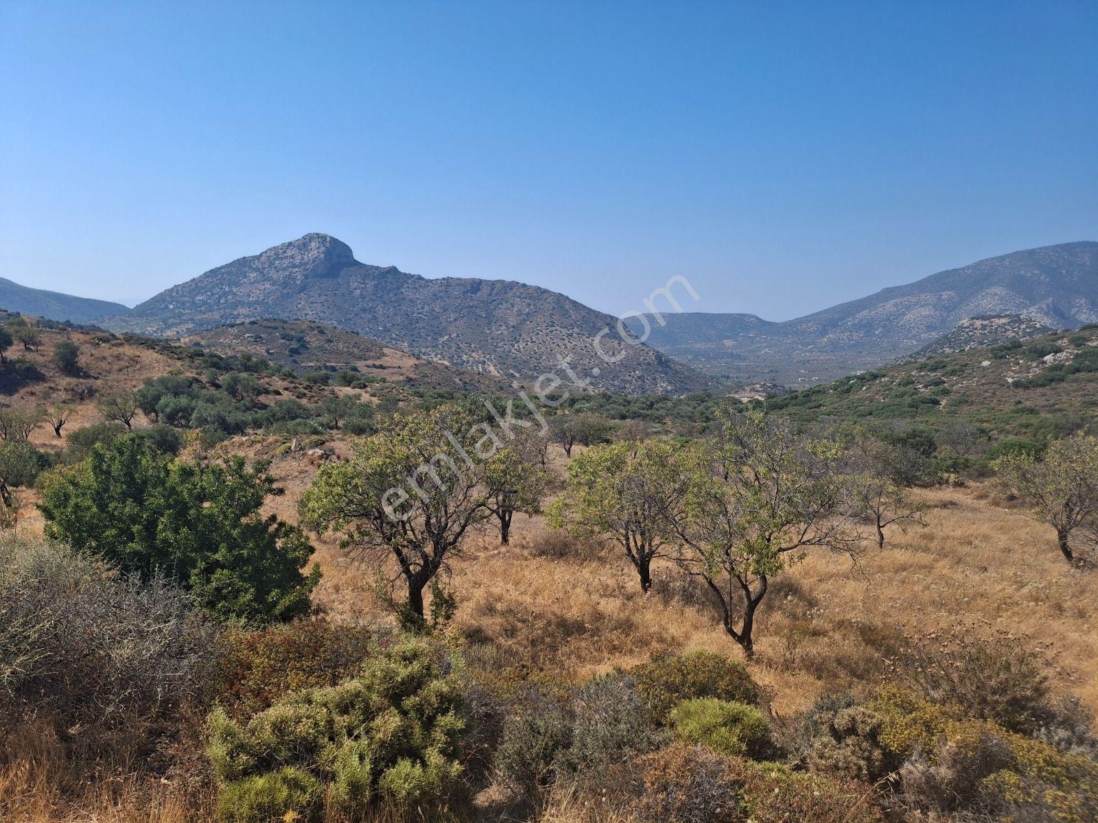 Datça Yazı Mahallesi Satılık Tarla — fotoğraf 7