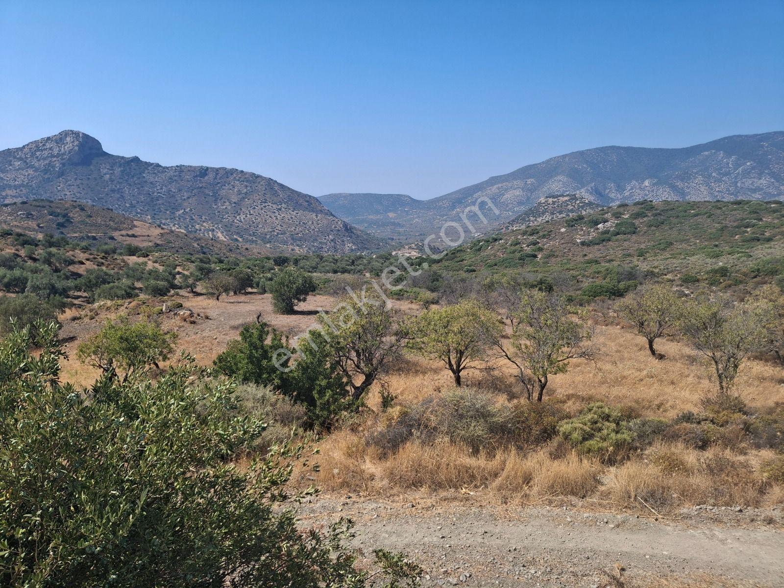 Datça Yazı Mahallesi Satılık Tarla — fotoğraf 10