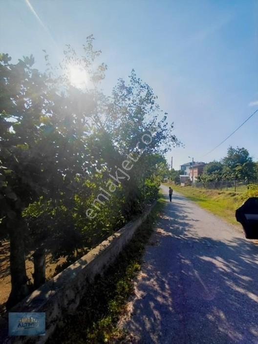 Güzlekte 1200 Mt2 Düz Manzaralı İmarlı Arsa — fotoğraf 5