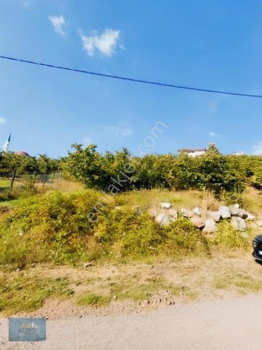 Güzlekte 1200 Mt2 Düz Manzaralı İmarlı Arsa — fotoğraf 8