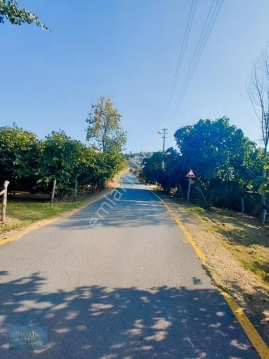 Güzlekte 1200 Mt2 Düz Manzaralı İmarlı Arsa — fotoğraf 9