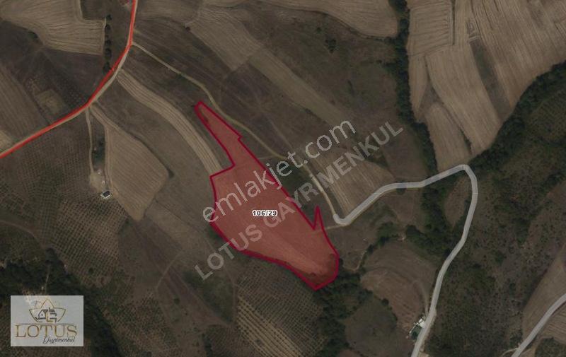 Kandıra Akçaova'Da Mükemmel Konumda 17.690M² Tarla