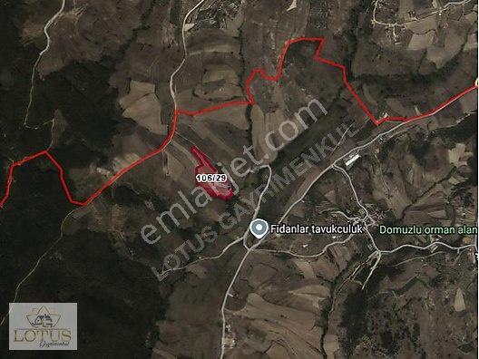 Kandıra Akçaova'da Mükemmel Konumda 17.690m² Tarla — fotoğraf 2