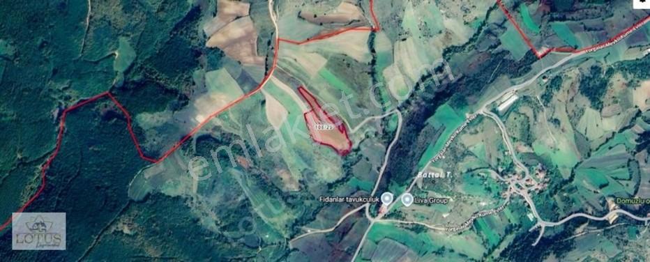 Kandıra Akçaova'da Mükemmel Konumda 17.690m² Tarla — fotoğraf 3