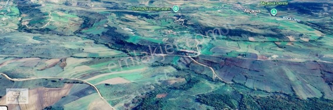 Kandıra Akçaova'da Mükemmel Konumda 17.690m² Tarla — fotoğraf 4