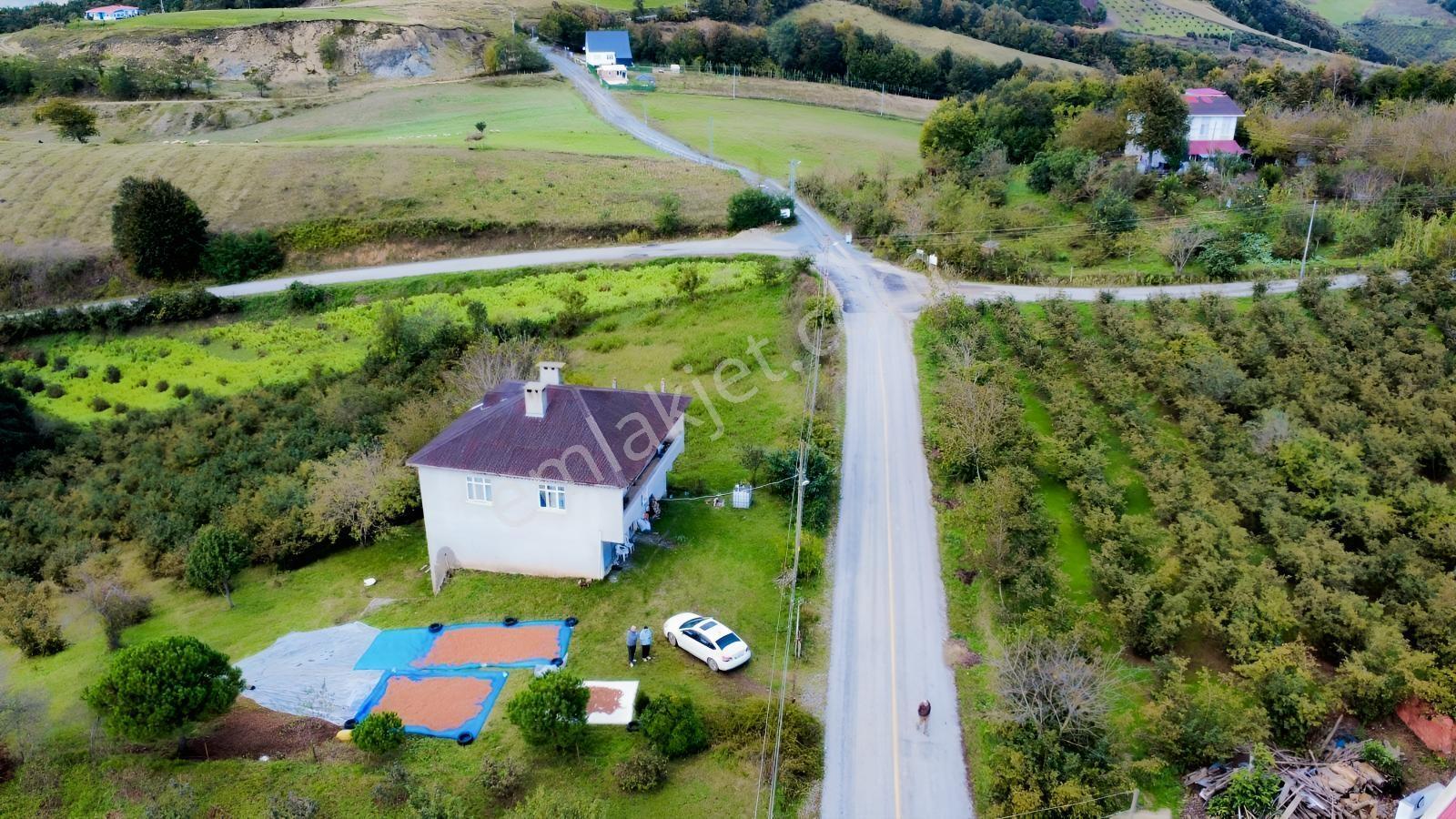 Yazlığınız Hazır — fotoğraf 2