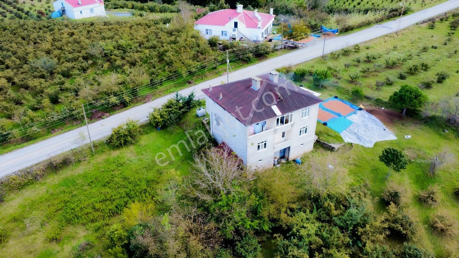 Yazlığınız Hazır — fotoğraf 4