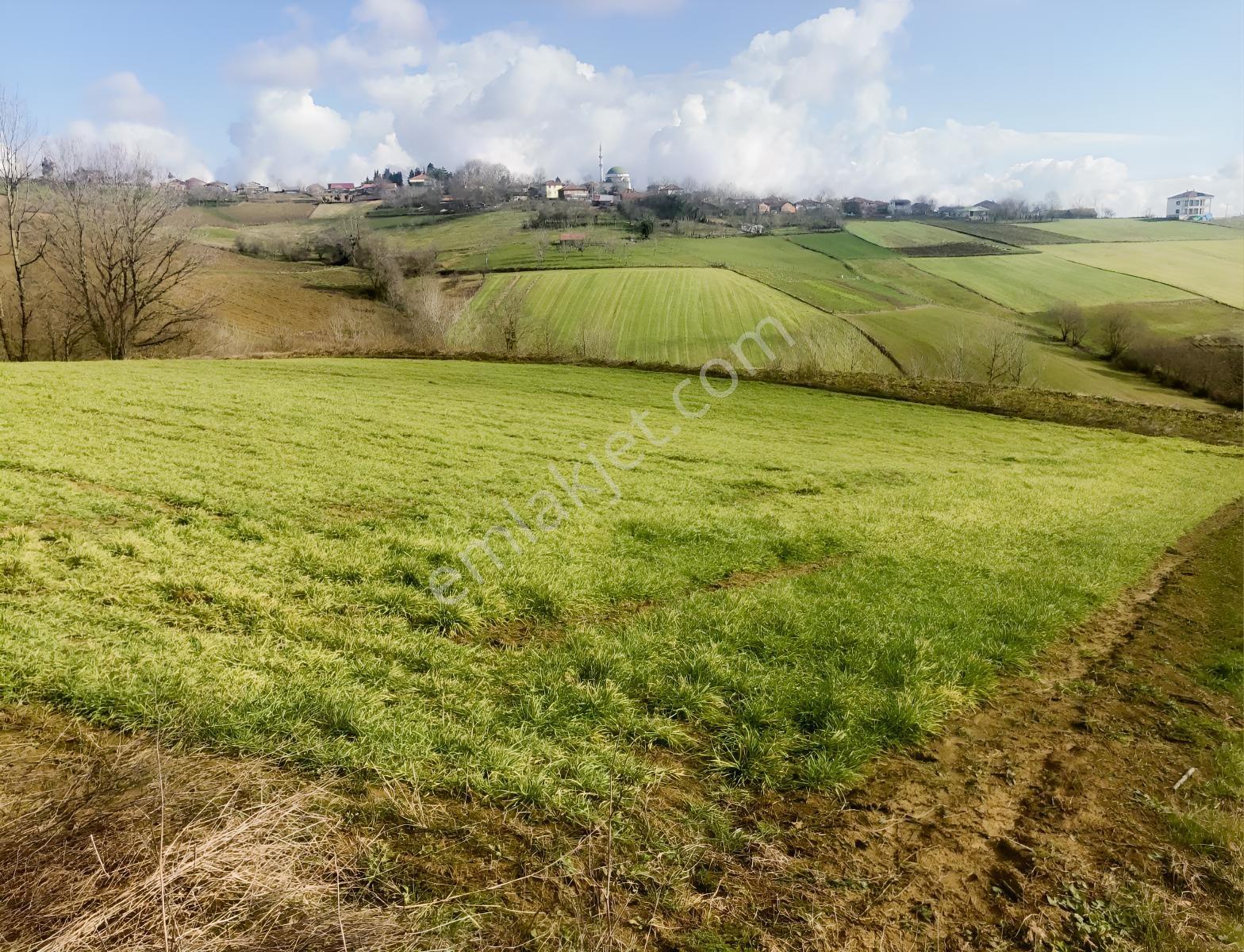 Adaplatin'den İzmit'te Baraj Gölleri Yakınında 2910 M2 Tarla — fotoğraf 3