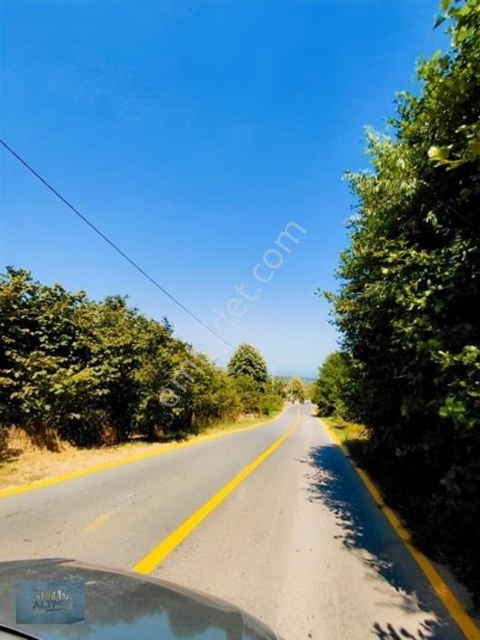 Merkezi Konumda 367 Mt2 İmarlı Arsa — fotoğraf 8