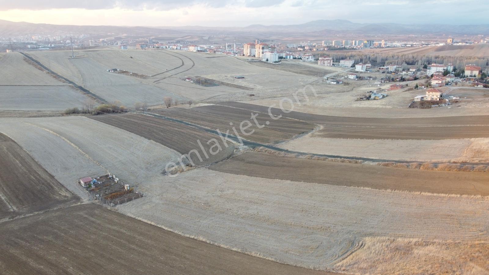 --*altınova Da İmara Sınır 950 (801ada1) Parsel 156 Metre--* — fotoğraf 8
