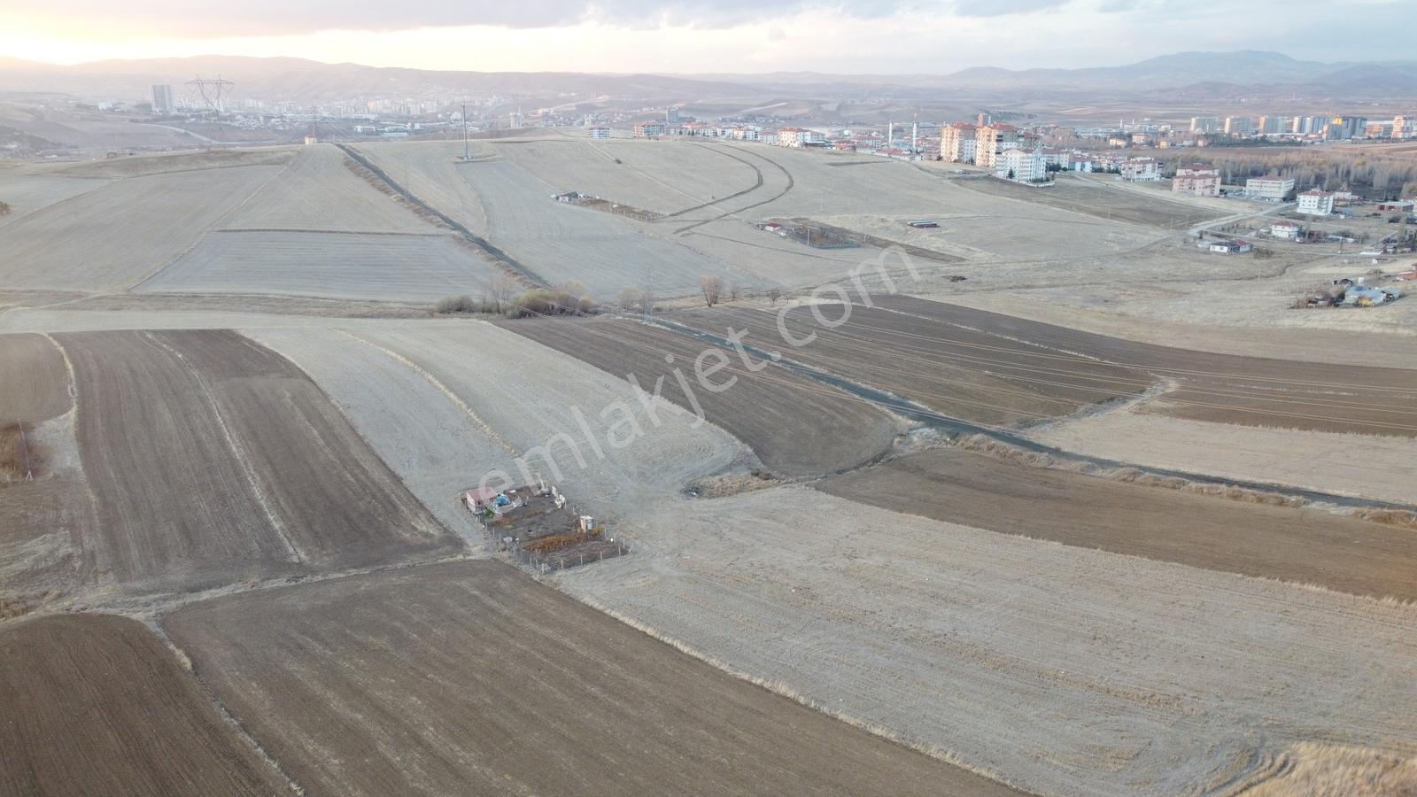 --*altınova Da İmara Sınır 950 (801ada1) Parsel 156 Metre--* — fotoğraf 9