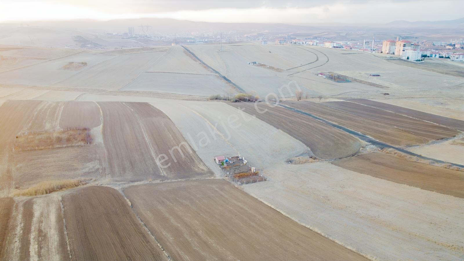 --*altınova Da İmara Sınır 950 (801ada1) Parsel 156 Metre--* — fotoğraf 10