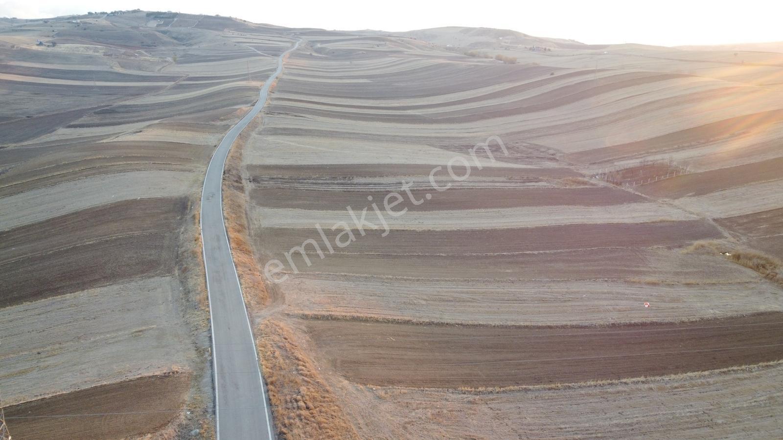 --*altınova Da İmara Sınır 950 (801ada1) Parsel 156 Metre--* — fotoğraf 13