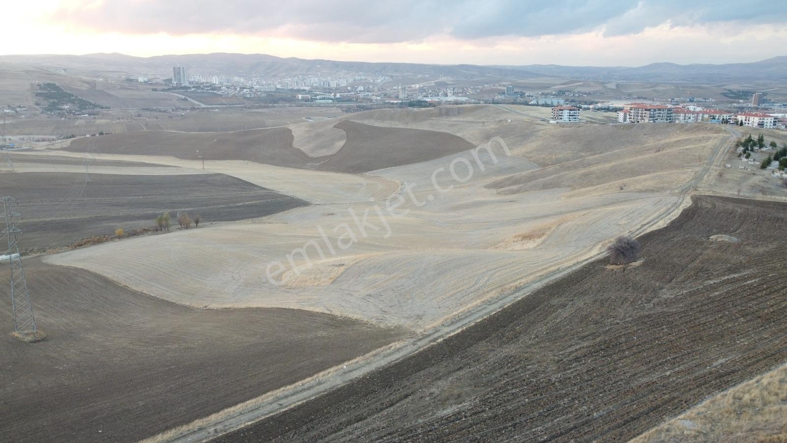 --*altınova Da İmara Sınır 950 (801ada1) Parsel 156 Metre--* — fotoğraf 25