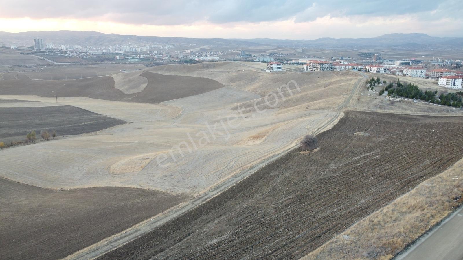 --*altınova Da İmara Sınır 950 (801ada1) Parsel 156 Metre--* — fotoğraf 26