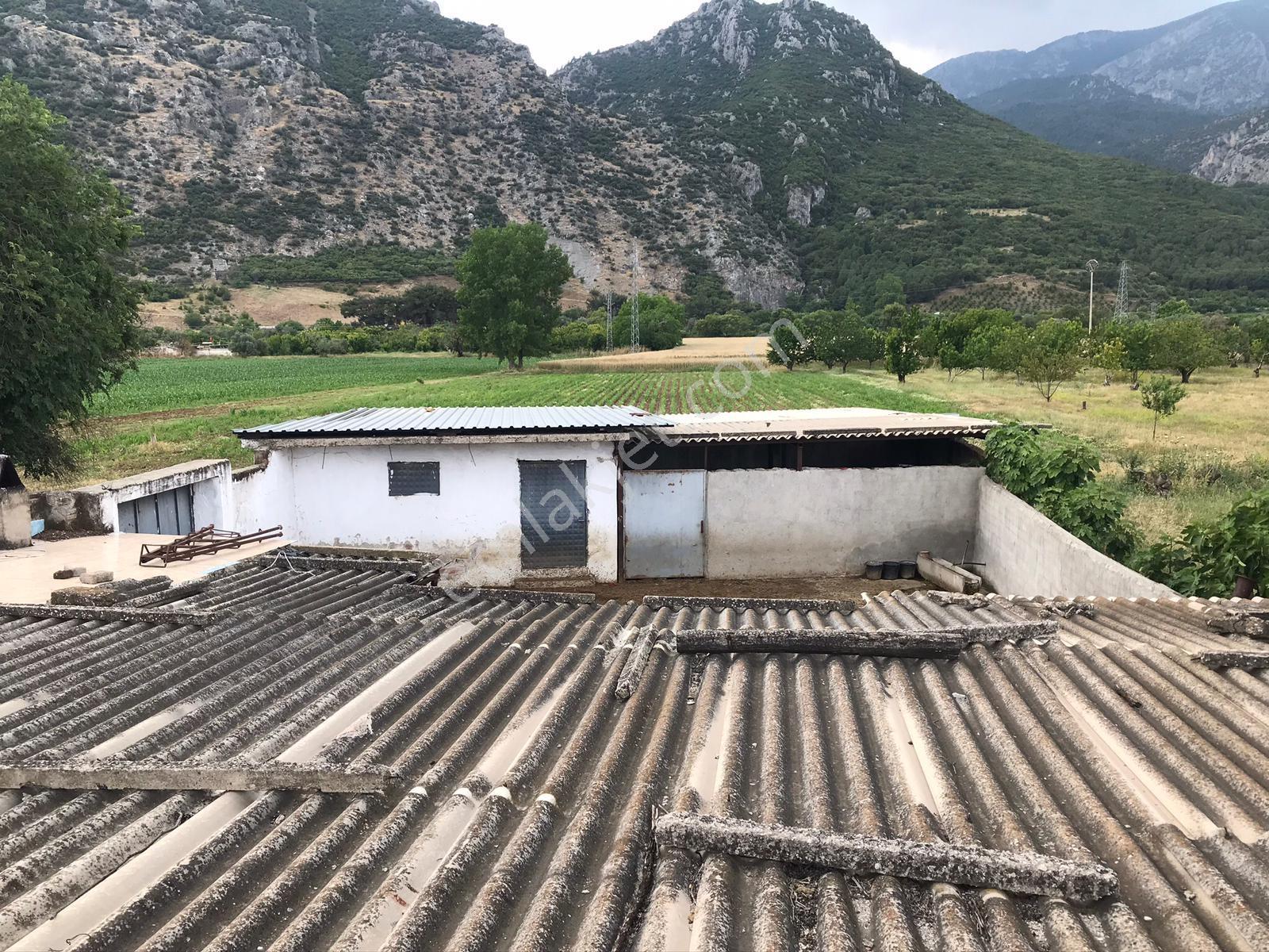 Yukarı Çobanisa Tigem Arkası 64 Dönüm Çiftlik İçin Uygun Tarla — fotoğraf 9