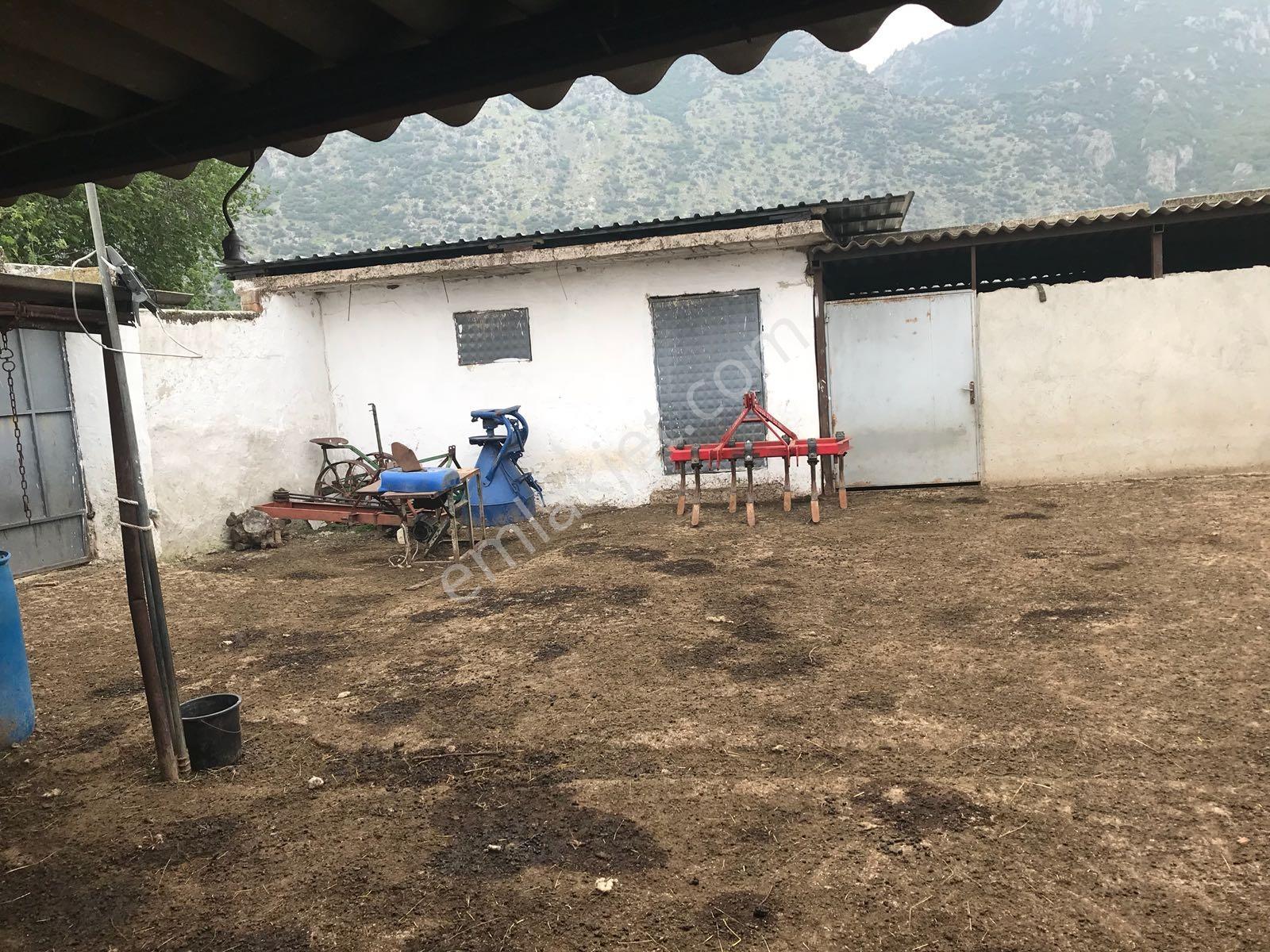 Yukarı Çobanisa Tigem Arkası 64 Dönüm Çiftlik İçin Uygun Tarla — fotoğraf 16
