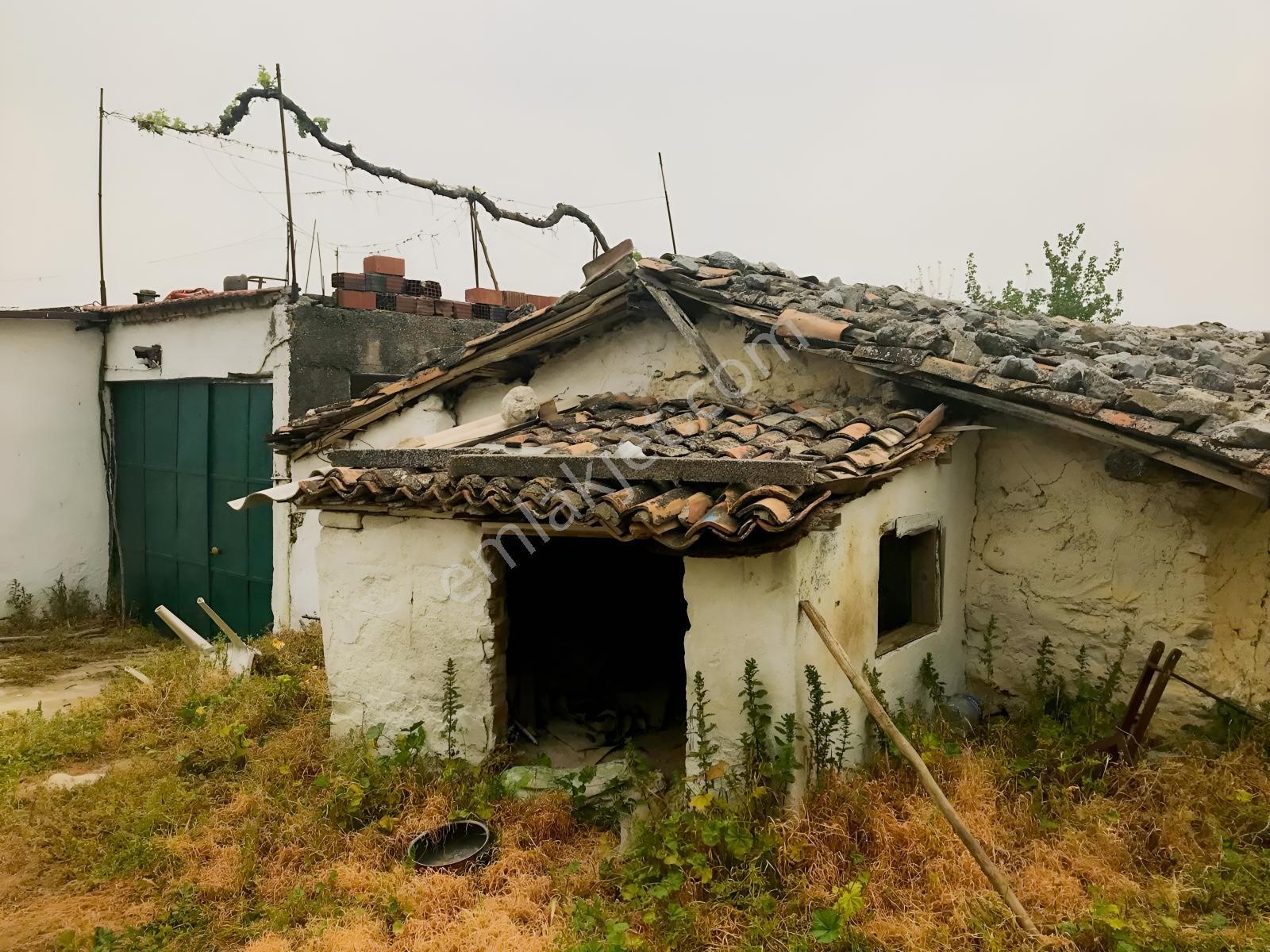 Yukarı Çobanisa Tigem Arkası 64 Dönüm Çiftlik İçin Uygun Tarla — fotoğraf 19
