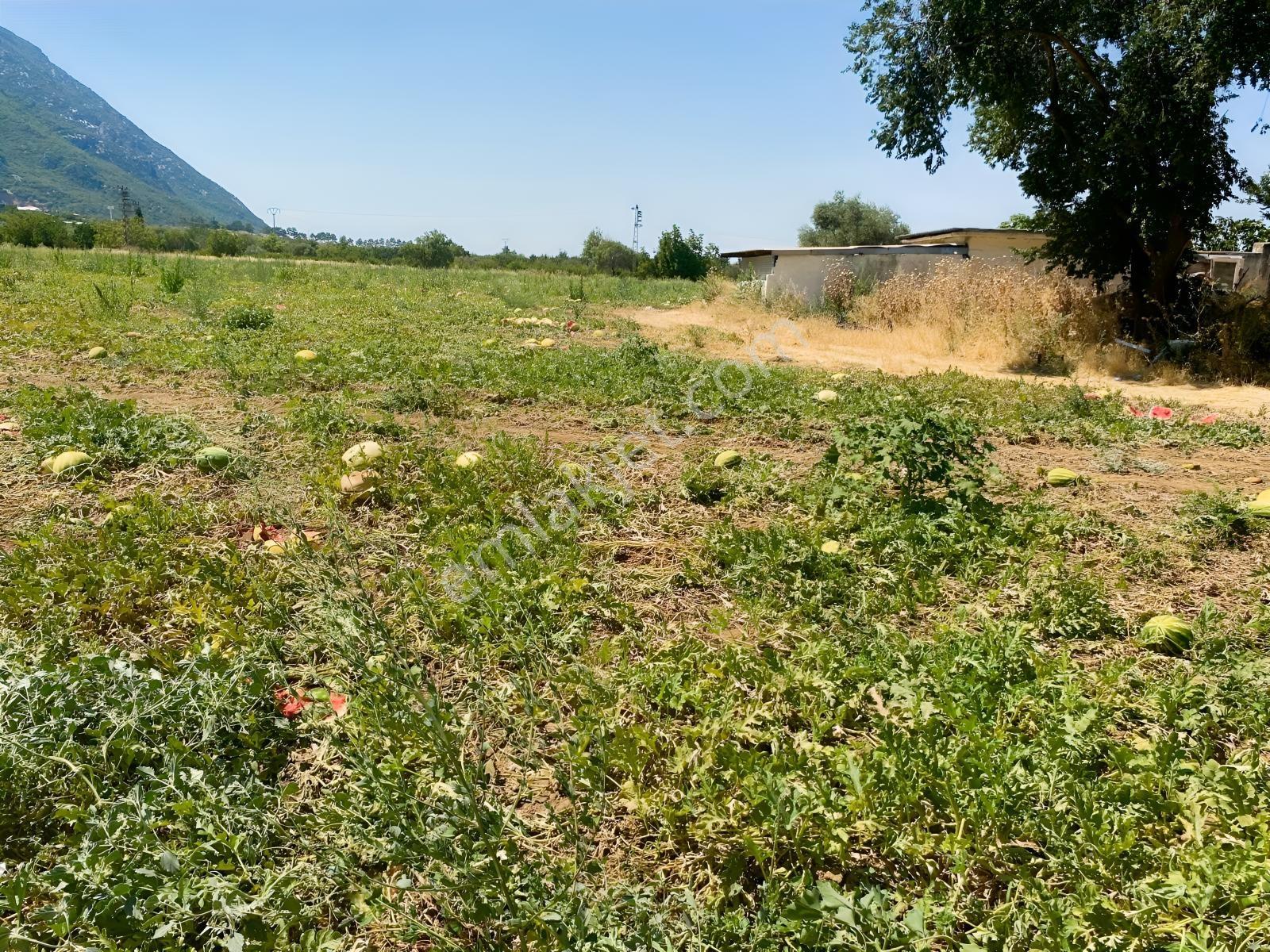 Yukarı Çobanisa Tigem Arkası 64 Dönüm Çiftlik İçin Uygun Tarla — fotoğraf 22