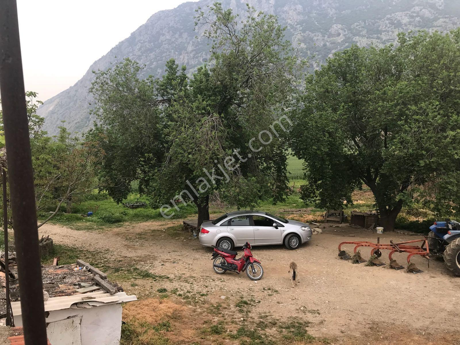 Yukarı Çobanisa Tigem Arkası 64 Dönüm Çiftlik İçin Uygun Tarla — fotoğraf 28