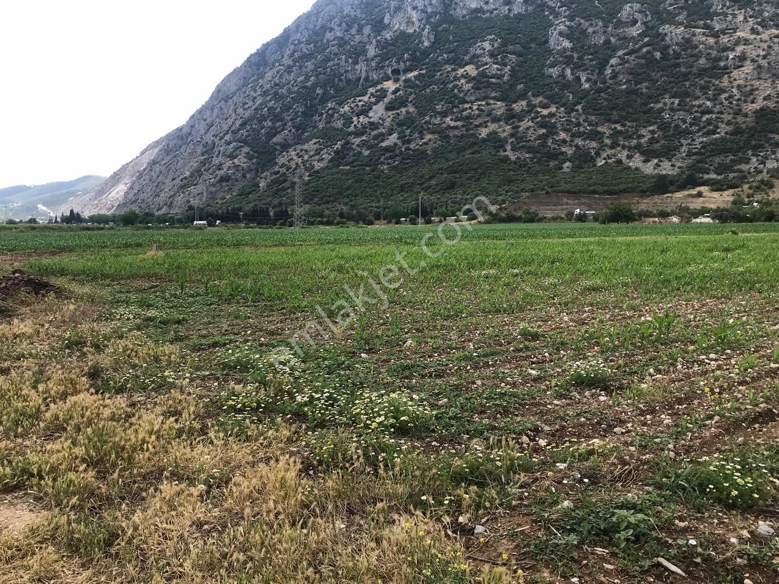 Yukarı Çobanisa Tigem Arkası 64 Dönüm Çiftlik İçin Uygun Tarla — fotoğraf 30