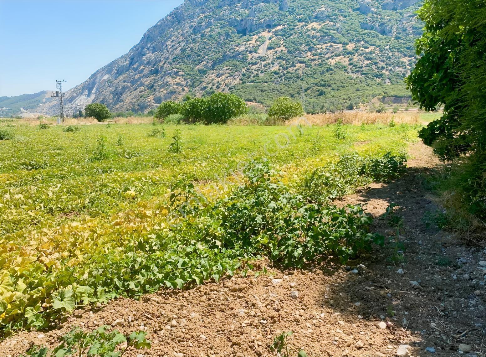 Yukarı Çobanisa Tigem Arkası 64 Dönüm Çiftlik İçin Uygun Tarla — fotoğraf 33