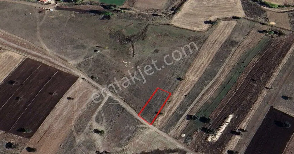 Doğayla İç İçe, Değer Kazanma Potansıyelı Yüksek 902 M² Arazı — fotoğraf 3
