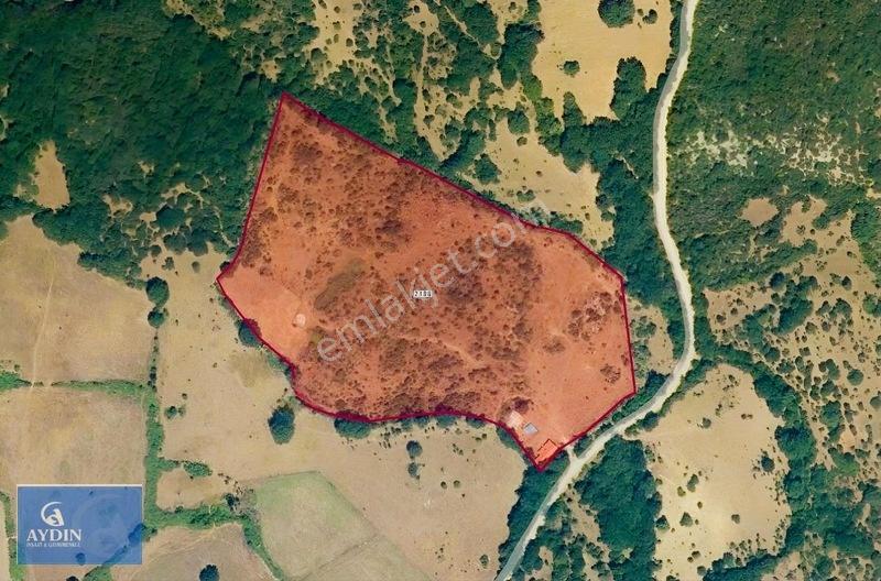 Balıkesir Balya Satılık 35 Dönüm Tarla Ve Ev %5 İmarlı