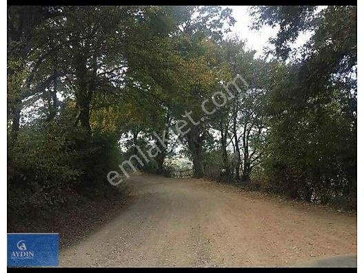Balıkesir Balya Satılık 35 Dönüm Tarla Ve Ev %5 İmarlı — fotoğraf 6
