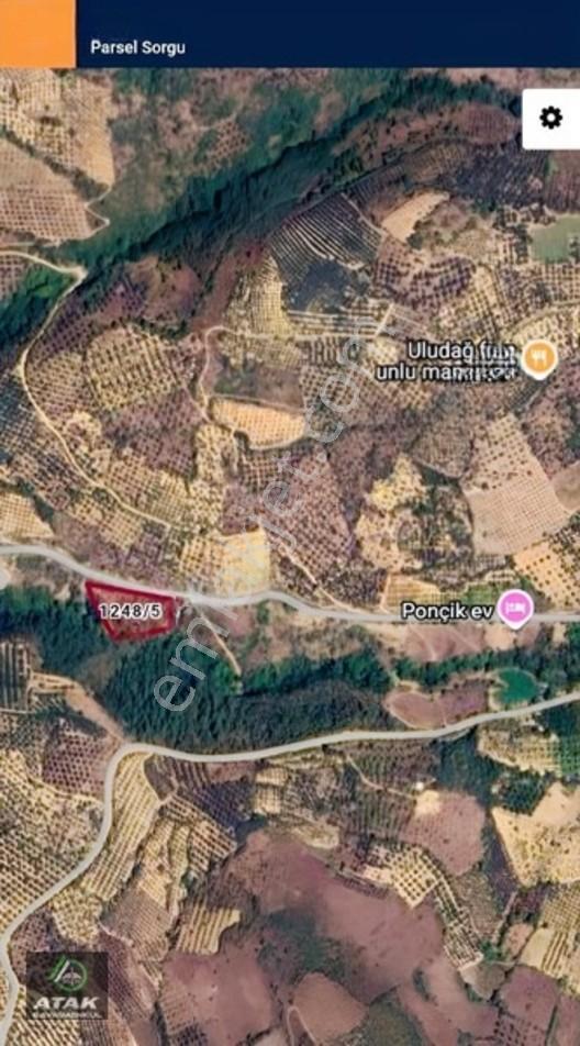 İznik Tacir Mah. 4399 M2 Yerimiz Satılıktır — fotoğraf 2