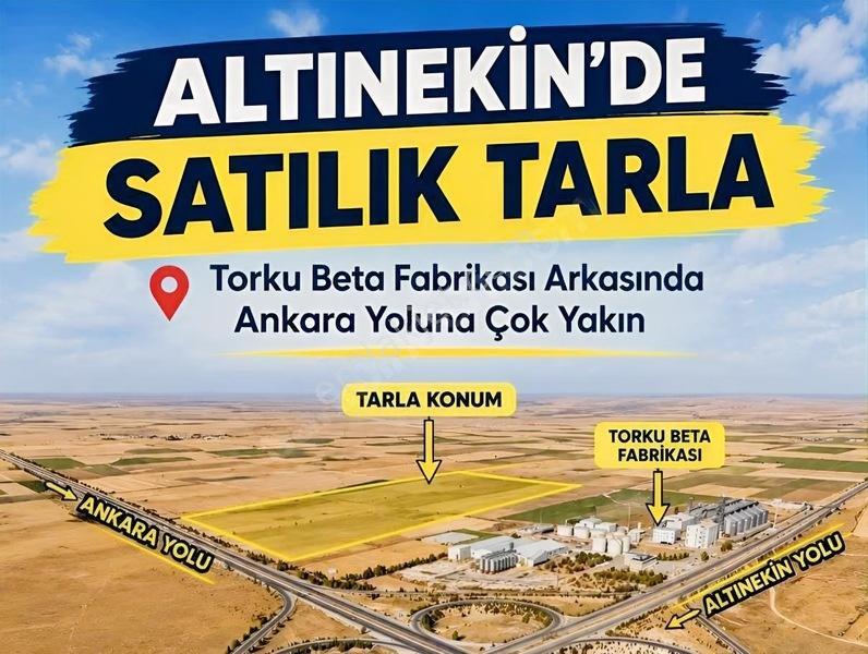 Altınekin'de Ankara Yolu Yakını Satılık Tarla