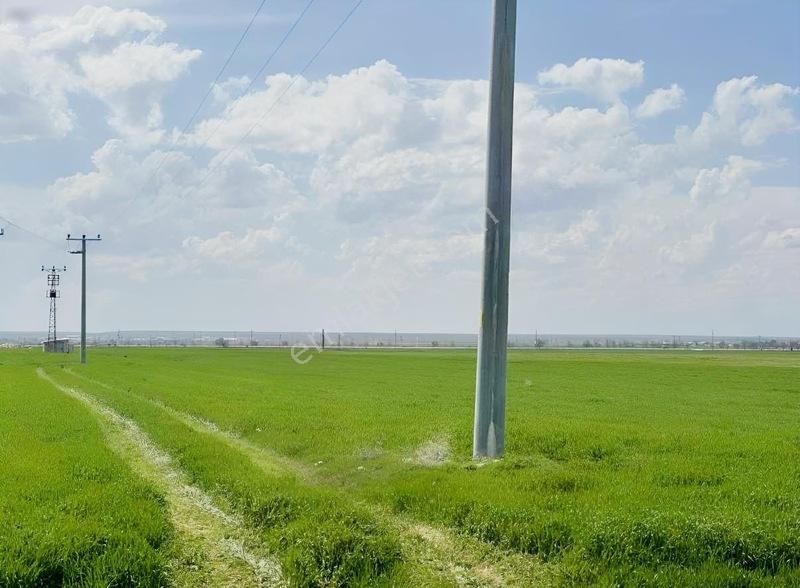 Altınekin'de Ankara Yolu Yakını Satılık Tarla — fotoğraf 9