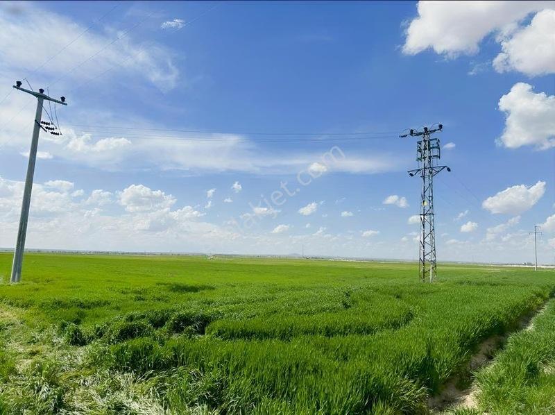 Altınekin'de Ankara Yolu Yakını Satılık Tarla — fotoğraf 10