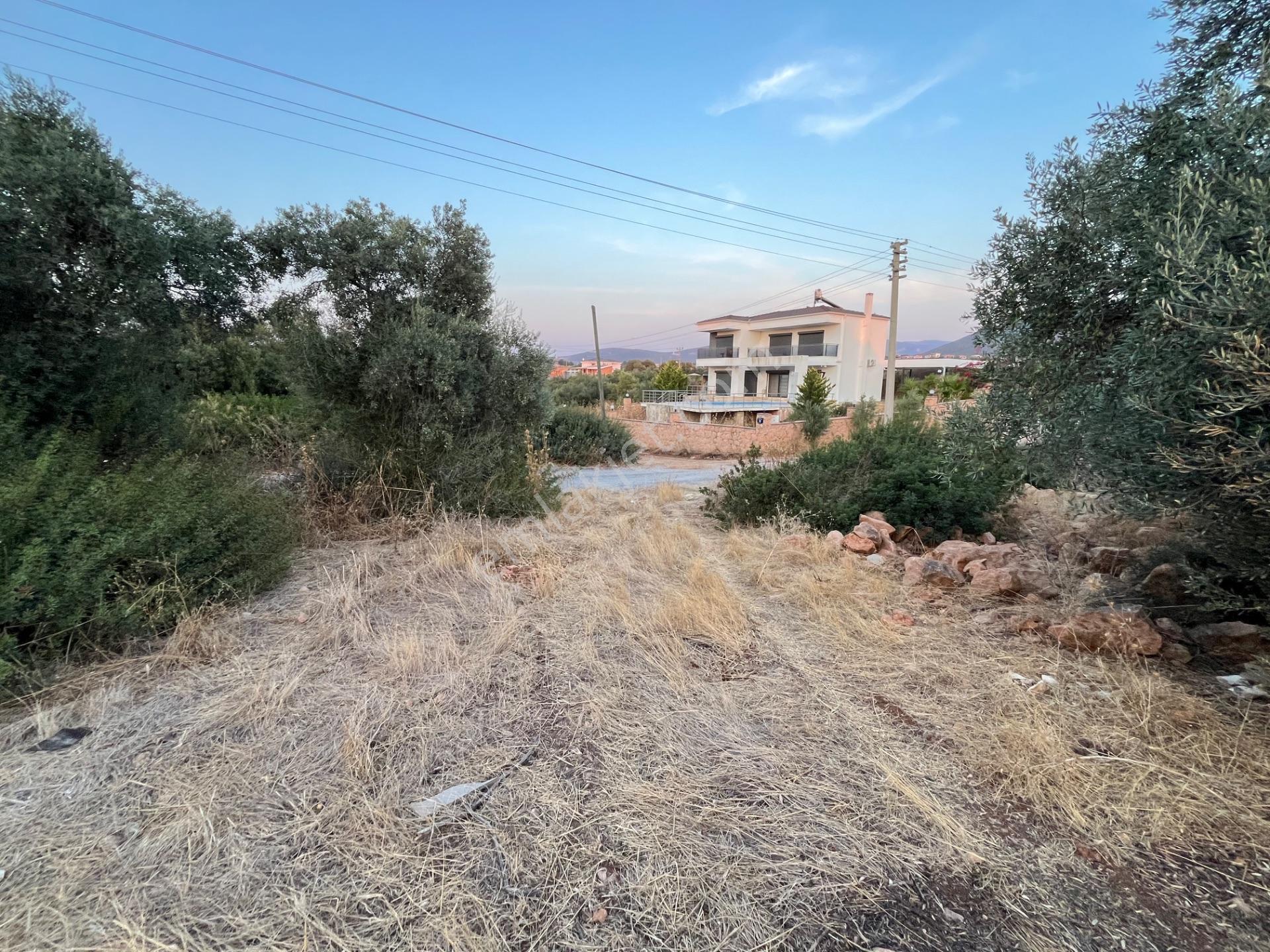Didim Yeşiltepede Önü Yeşil Alan 700m2 Satılık Arsa — fotoğraf 4