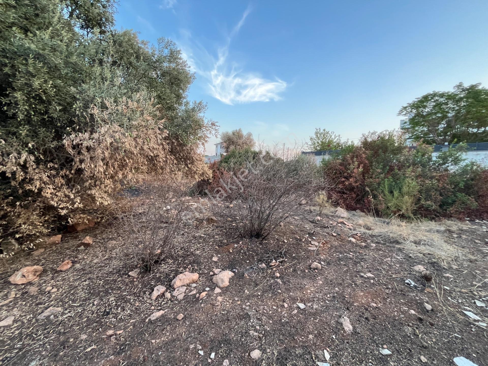 Didim Yeşiltepede Önü Yeşil Alan 700m2 Satılık Arsa — fotoğraf 5