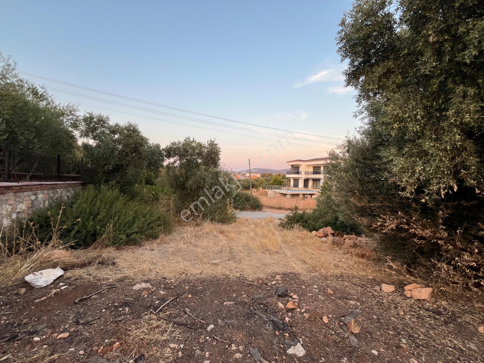 Didim Yeşiltepede Önü Yeşil Alan 700m2 Satılık Arsa — fotoğraf 7