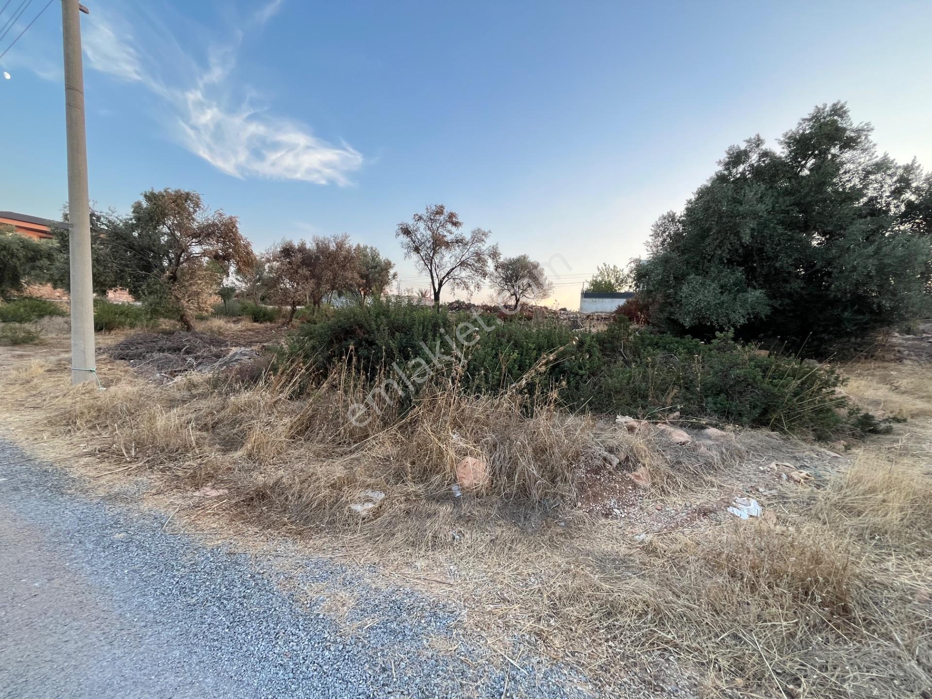Didim Yeşiltepede Önü Yeşil Alan 700m2 Satılık Arsa — fotoğraf 9