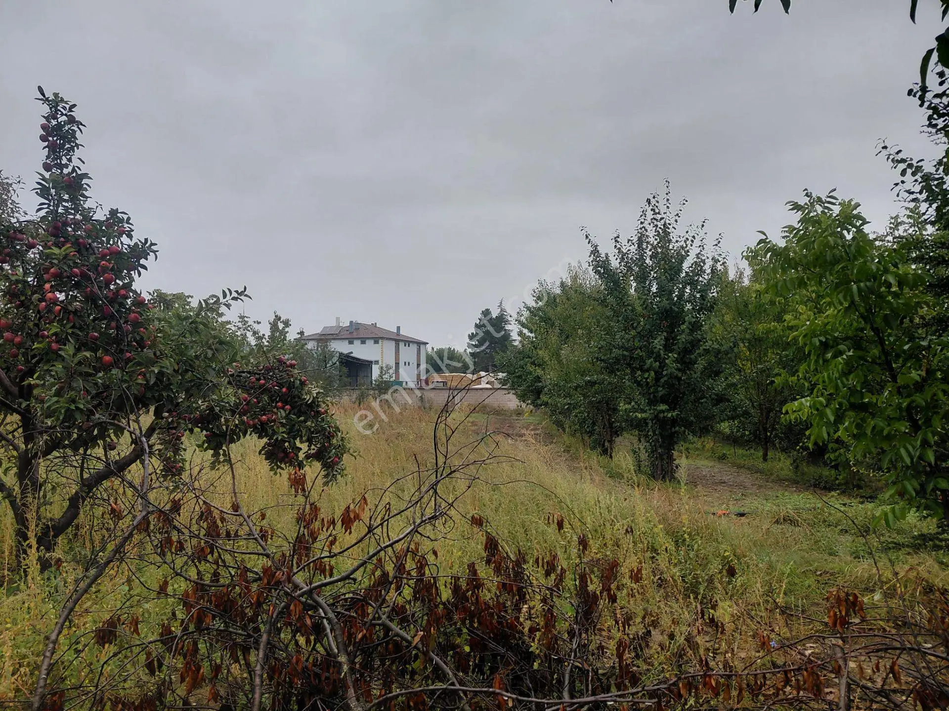 Bizim Emlaktan Akşehir Karahüyük'te 1060 M² Satılık Fırsat Arazi — fotoğraf 2