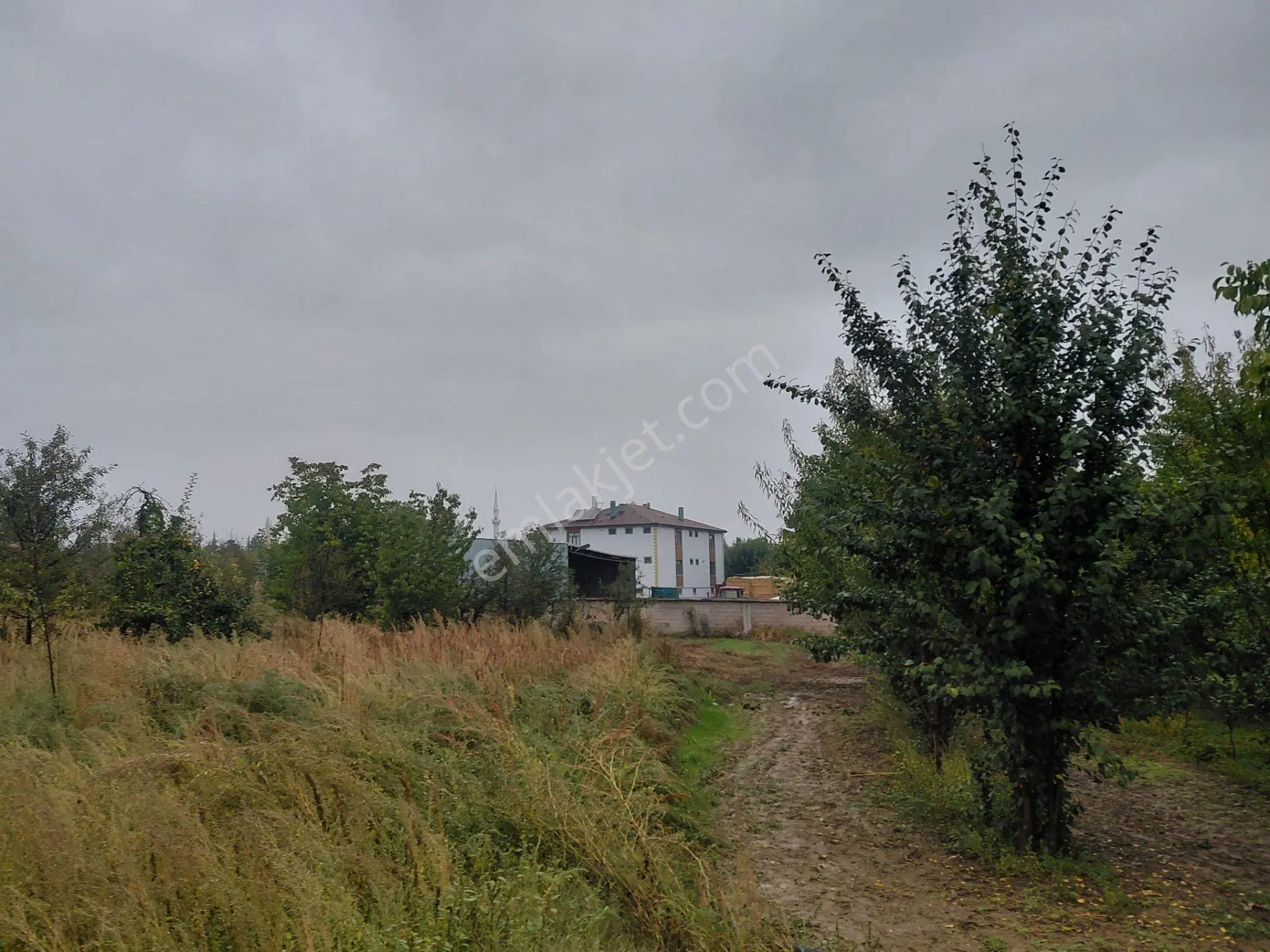 Bizim Emlaktan Akşehir Karahüyük'te 1060 M² Satılık Fırsat Arazi — fotoğraf 3