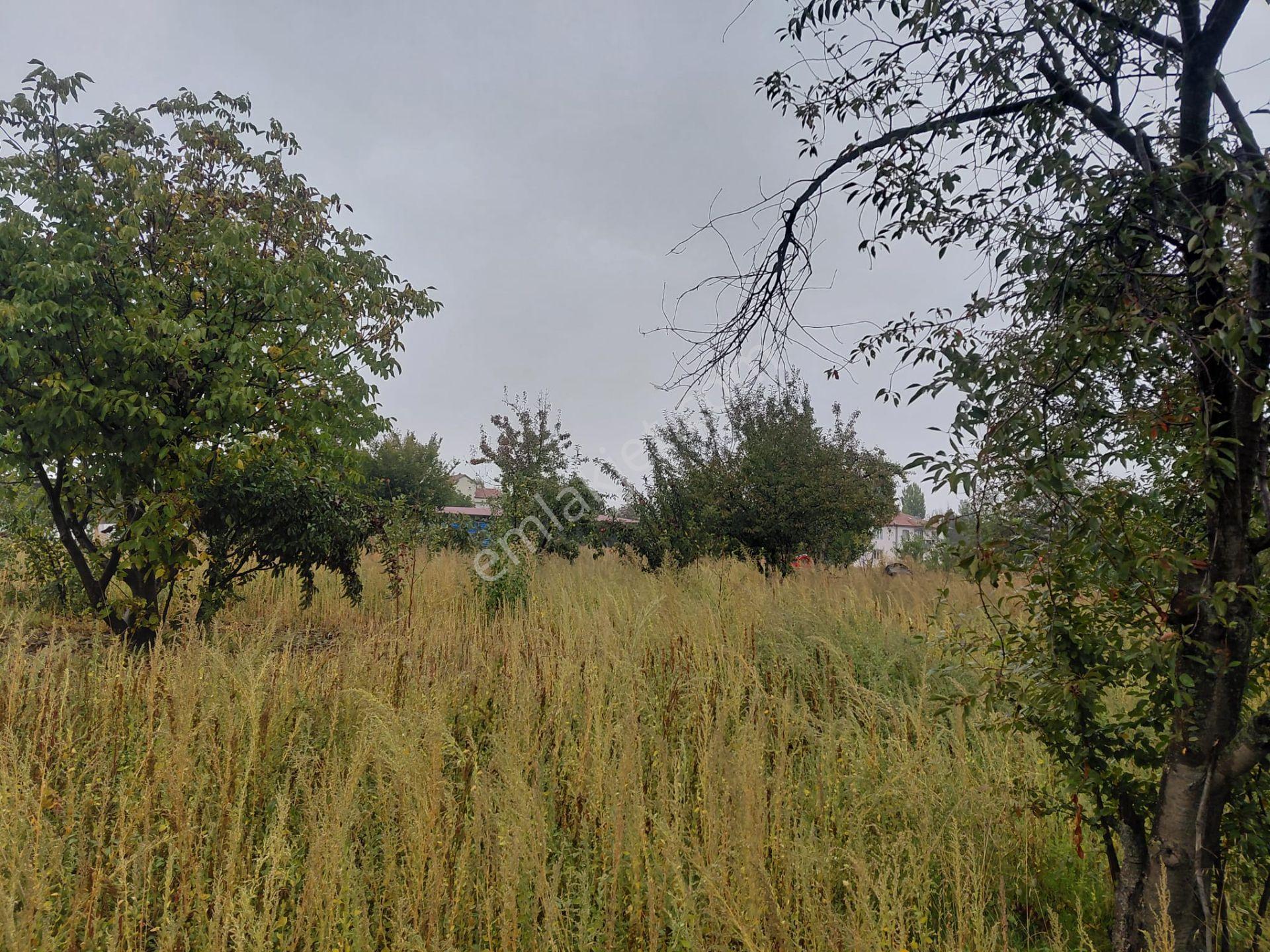 Bizim Emlaktan Akşehir Karahüyük'te 1060 M² Satılık Fırsat Arazi — fotoğraf 9