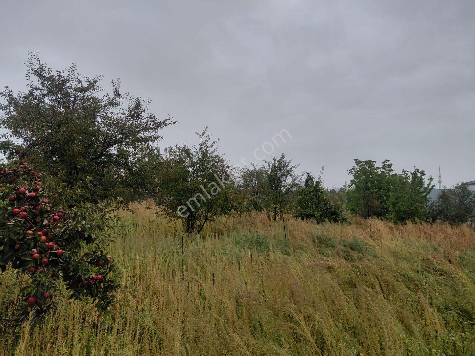 Bizim Emlaktan Akşehir Karahüyük'te 1060 M² Satılık Fırsat Arazi — fotoğraf 10