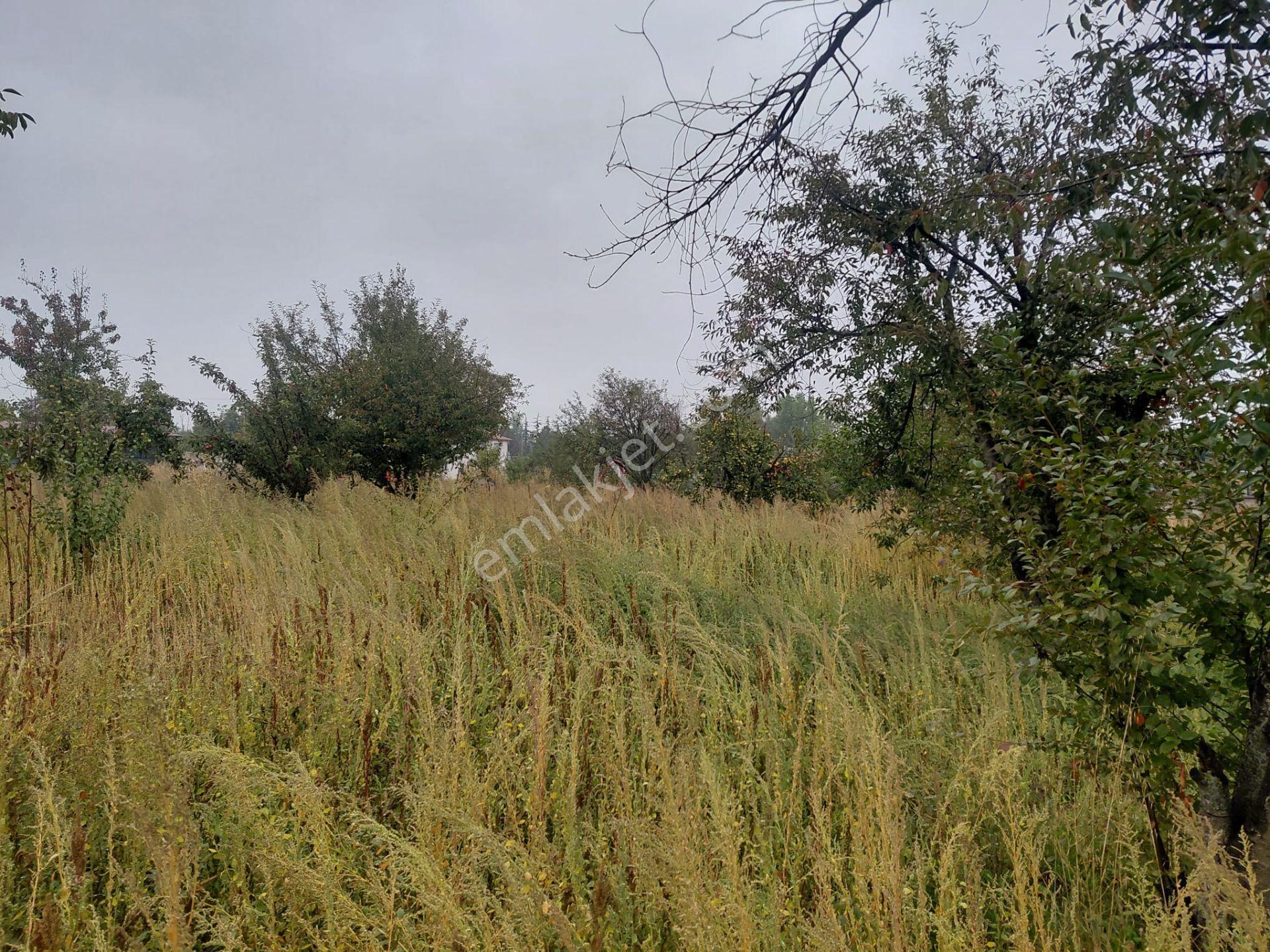 Bizim Emlaktan Akşehir Karahüyük'te 1060 M² Satılık Fırsat Arazi — fotoğraf 12