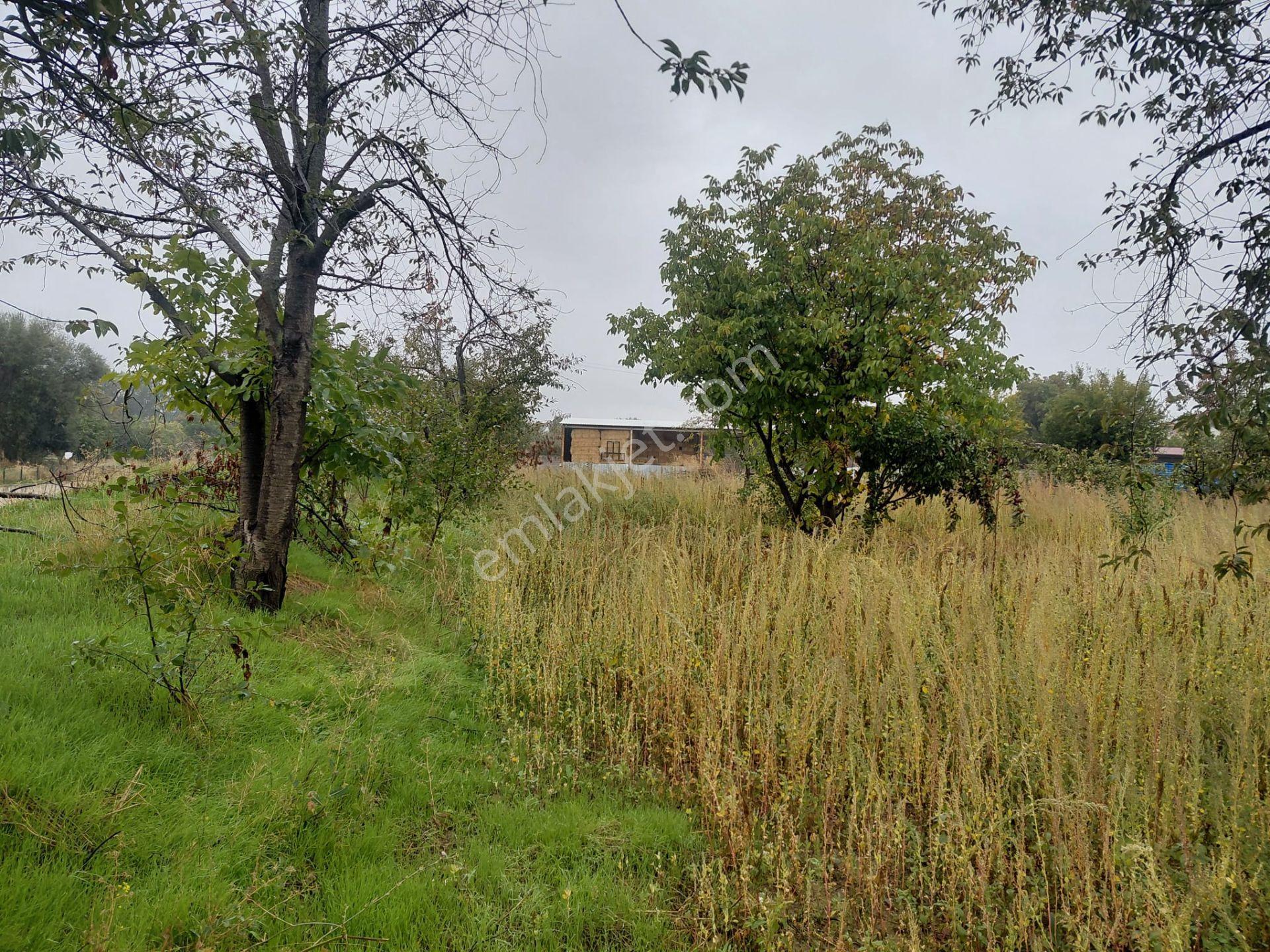 Bizim Emlaktan Akşehir Karahüyük'te 1060 M² Satılık Fırsat Arazi — fotoğraf 13