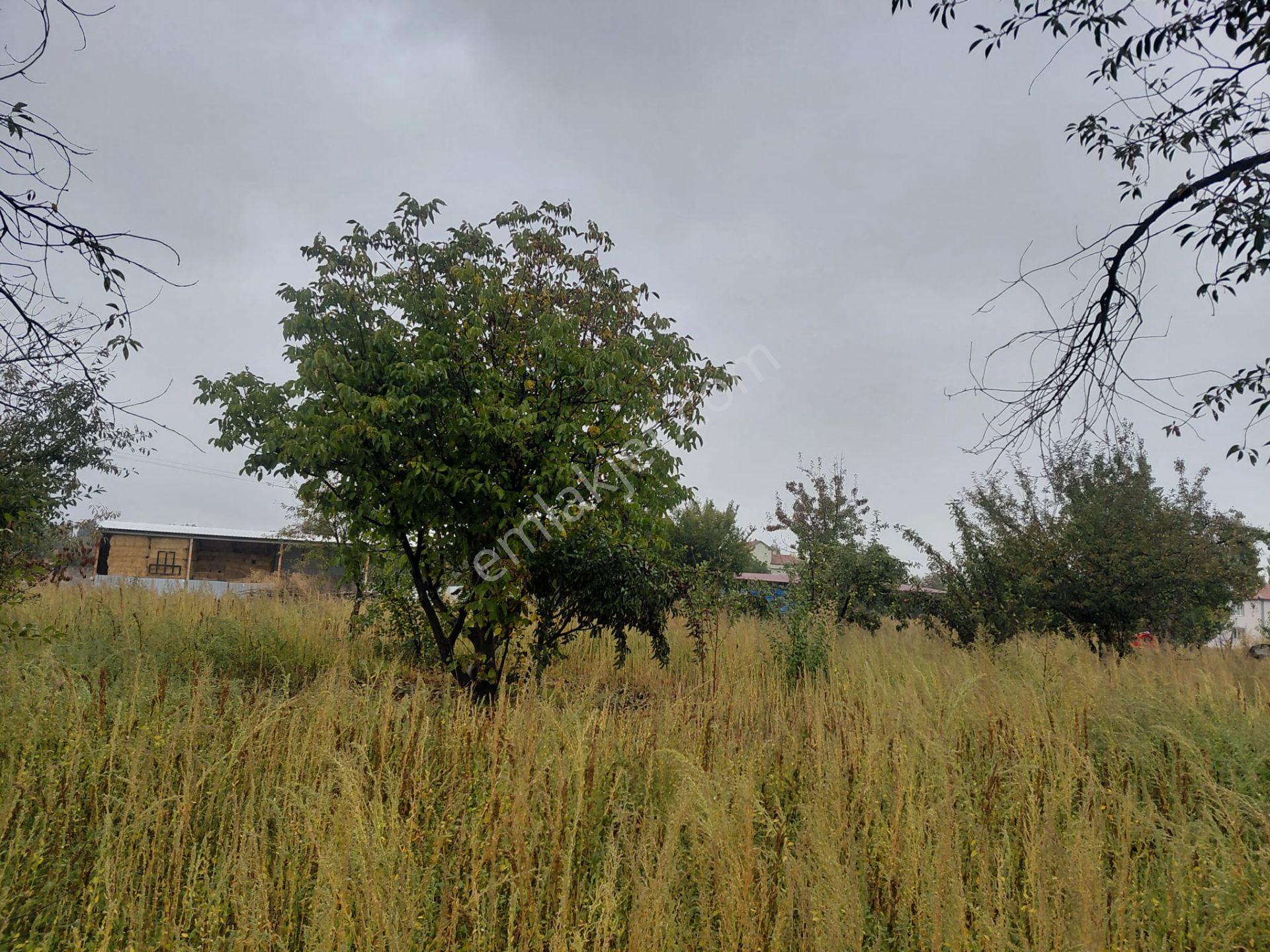 Bizim Emlaktan Akşehir Karahüyük'te 1060 M² Satılık Fırsat Arazi — fotoğraf 14